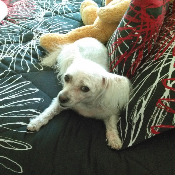 Meet your Posher, Sandra/sandralavel1@gmail.com - Picture 5 of 5